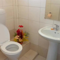 Отель Nadi Downtown Hotel Фиджи, Вити-Леву - отзывы, цены и фото номеров - забронировать отель Nadi Downtown Hotel онлайн ванная