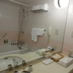 Tobu Hotel Levant Tokyo 3* Номер категории Эконом с различными типами кроватей фото 2