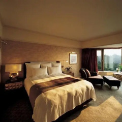 Отель Swissotel The Bosphorus Istanbul 5* Номер категории Премиум с двуспальной кроватью