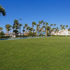 Отель Meraki Resort (Adults Only) развлечения