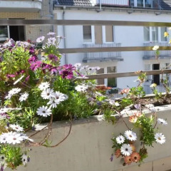 Отель City Hotel Köln am Neumarkt Германия, Кёльн - отзывы, цены и фото номеров - забронировать отель City Hotel Köln am Neumarkt онлайн фото 2