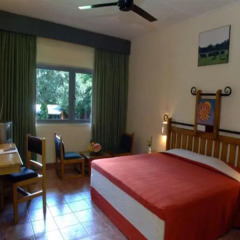 Отель Miridiya Lake Resort Шри-Ланка, Анурадхапура - отзывы, цены и фото номеров - забронировать отель Miridiya Lake Resort онлайн комната для гостей