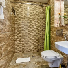 Гостиница Регина 3* Полулюкс с двуспальной кроватью фото 13