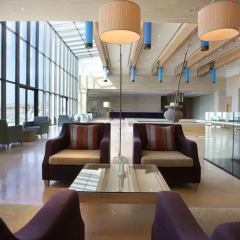 Отель Hilton Dead Sea Resort & Spa гостиничный бар