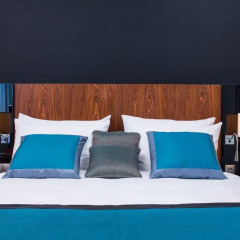 Рэдиссон Блу Шереметьево (Radisson Blu Sheremetyevo Hotel) 5* Номер Премиум с различными типами кроватей фото 3
