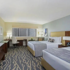 Отель InterContinental Miami 4* Стандартный номер с 2 отдельными кроватями