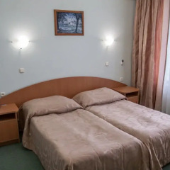 Гостиница Атал 4* Стандартный номер с различными типами кроватей фото 12