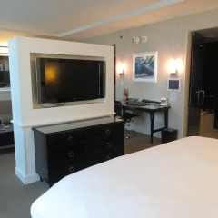 Hard Rock Hotel And Casino 4* Люкс фото 3