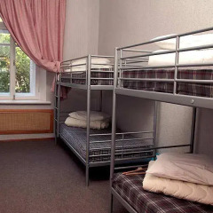 Хостел 3 Пингвина детские мероприятия