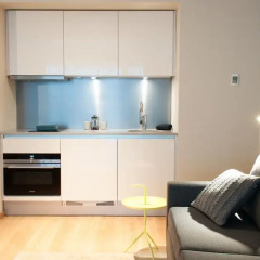 Отель PREMIER SUITES PLUS Antwerp 3* Представительский номер с различными типами кроватей фото 4
