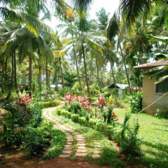 Отель Ala Goa Resort Индия, Гоа - 1 отзыв об отеле, цены и фото номеров - забронировать отель Ala Goa Resort онлайн фото 2
