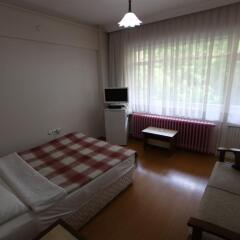 Thermal Saray Hotel 2* Стандартный номер с различными типами кроватей фото 6