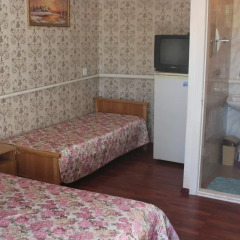 Гостиница Guest House Nika Люкс с различными типами кроватей фото 5