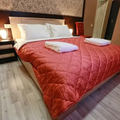 Elysium Hotel 3* Номер Комфорт с разными типами кроватей