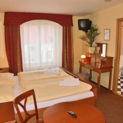 Отель Pension Brezina Prague 3* Номер Делюкс фото 7