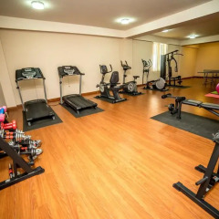Отель Panorama Resort Армения, Ереван - 1 отзыв об отеле, цены и фото номеров - забронировать отель Panorama Resort онлайн фитнесс-зал