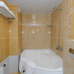 Гостиница Беларусь 3* Люкс с различными типами кроватей фото 5
