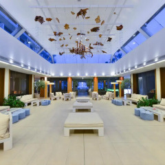 Capo Bay Hotel Протарас гостиничный бар фото 2