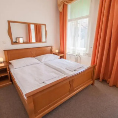 Отель Pension Brezina Prague 3* Стандартный номер фото 2