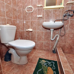 Гостиница Vek Guest House в Ольгинке отзывы, цены и фото номеров - забронировать гостиницу Vek Guest House онлайн Ольгинка ванная