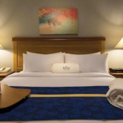 Отель Hodelpa Garden Suites комната для гостей фото 3