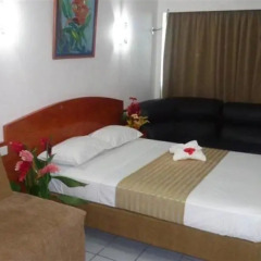 Отель Nadi Downtown Hotel Фиджи, Вити-Леву - отзывы, цены и фото номеров - забронировать отель Nadi Downtown Hotel онлайн комната для гостей фото 2