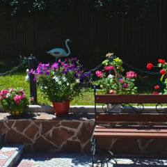 Гостиница Guest House Barin фото 2