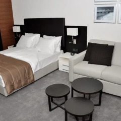 Отель Holiday Inn Novi Sad Нови Сад комната для гостей фото 4