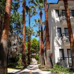 Liberty Hotels Oludeniz Турция, Олюдениз - 1 отзыв об отеле, цены и фото номеров - забронировать отель Liberty Hotels Oludeniz онлайн фото 5