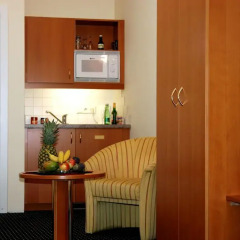 Отель Suite Hotel 900 m zur Oper Австрия, Вена - 1 отзыв об отеле, цены и фото номеров - забронировать отель Suite Hotel 900 m zur Oper онлайн удобства в номере