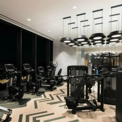 Отель Novotel Ambassador Seoul Yongsan - Seoul Dragon City фитнесс-зал фото 3