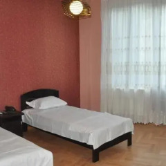 Narikala Palace Hotel комната для гостей фото 7