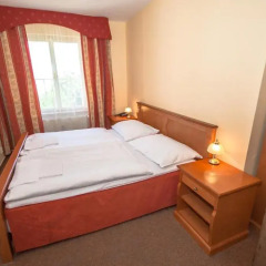 Отель Pension Brezina Prague 3* Номер Делюкс фото 5