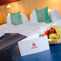 Отель Mercure Hotel Dresden Elbpromenade Германия, Дрезден - отзывы, цены и фото номеров - забронировать отель Mercure Hotel Dresden Elbpromenade онлайн в номере