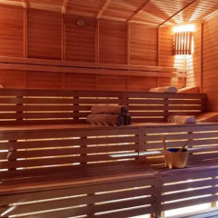 Papillon Ayscha Resort & Spa Турция, Белек - 10 отзывов об отеле, цены и фото номеров - забронировать отель Papillon Ayscha Resort & Spa - All Inclusive онлайн сауна фото 3