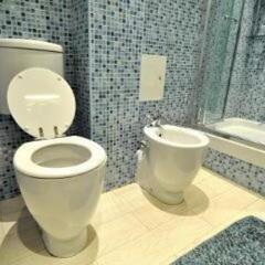 Гостиница Brusov Serviced Apartement ванная