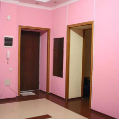 Apple hostel Алматы удобства в номере фото 5