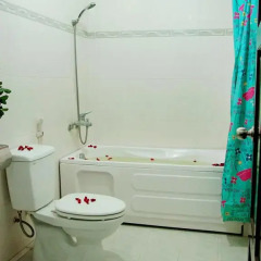 Queen Hotel Нячанг ванная