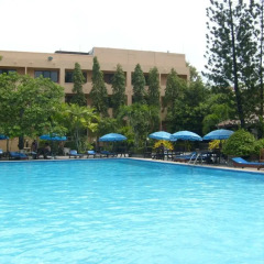 Palm Garden Hotel Паттайя бассейн