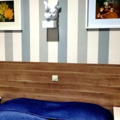 Гостиница Апарт-отель Династия в Красной Поляне отзывы, цены и фото номеров - забронировать гостиницу Апарт-отель Династия онлайн Красная Поляна интерьер отеля