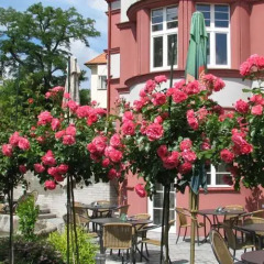 Hotel Villa Прага