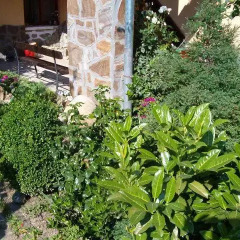 Отель Guest house Traikovi Банско фото 6