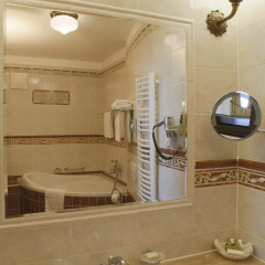 Hotel Livia Карловы Вары ванная