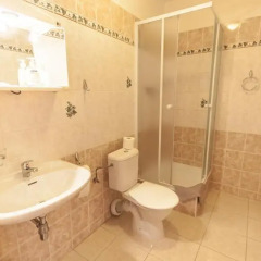 Отель Pension Brezina Prague 3* Стандартный номер фото 8