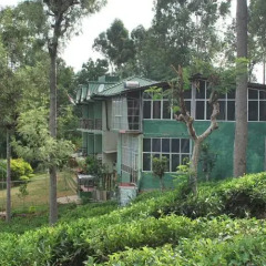 Отель Ranmal Tea Plantation Bungalow спортивное сооружение