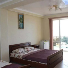 Гостиница Mirnaya Guest House в Сочи отзывы, цены и фото номеров - забронировать гостиницу Mirnaya Guest House онлайн комната для гостей фото 6