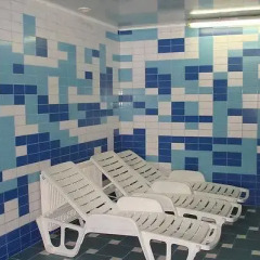 Гостиница Pod Dubom сауна