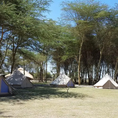 Отель Africa Safari Lake Manyara пляж