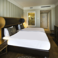 Отель Titanic Business Golden Horn 5* Стандартный номер с различными типами кроватей фото 2