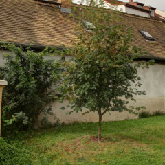 Отель Herberge In Der Buttergasse Германия, Лейпциг - отзывы, цены и фото номеров - забронировать отель Herberge In Der Buttergasse онлайн фото 2